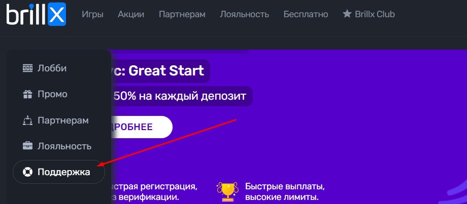 Поддержка